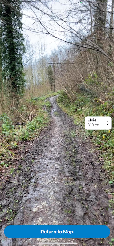 tractive app 6