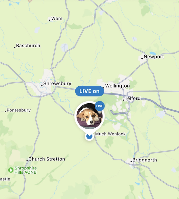 tractive app 8