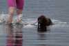 Wet George