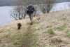 Walking along the USK with the Dogs.