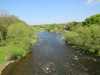 The View from the Bridge